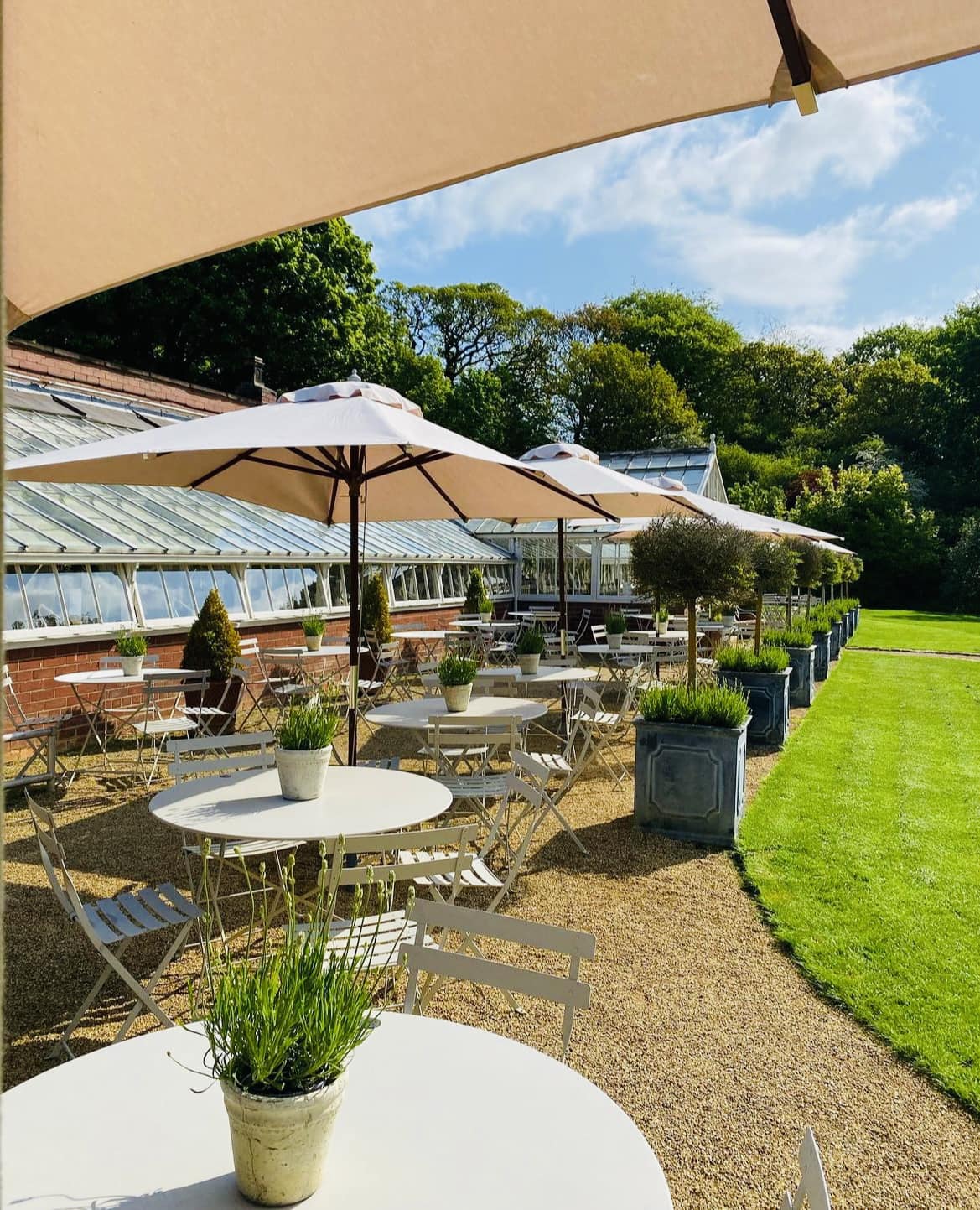 SY Bradley Gardens Sanderson Young