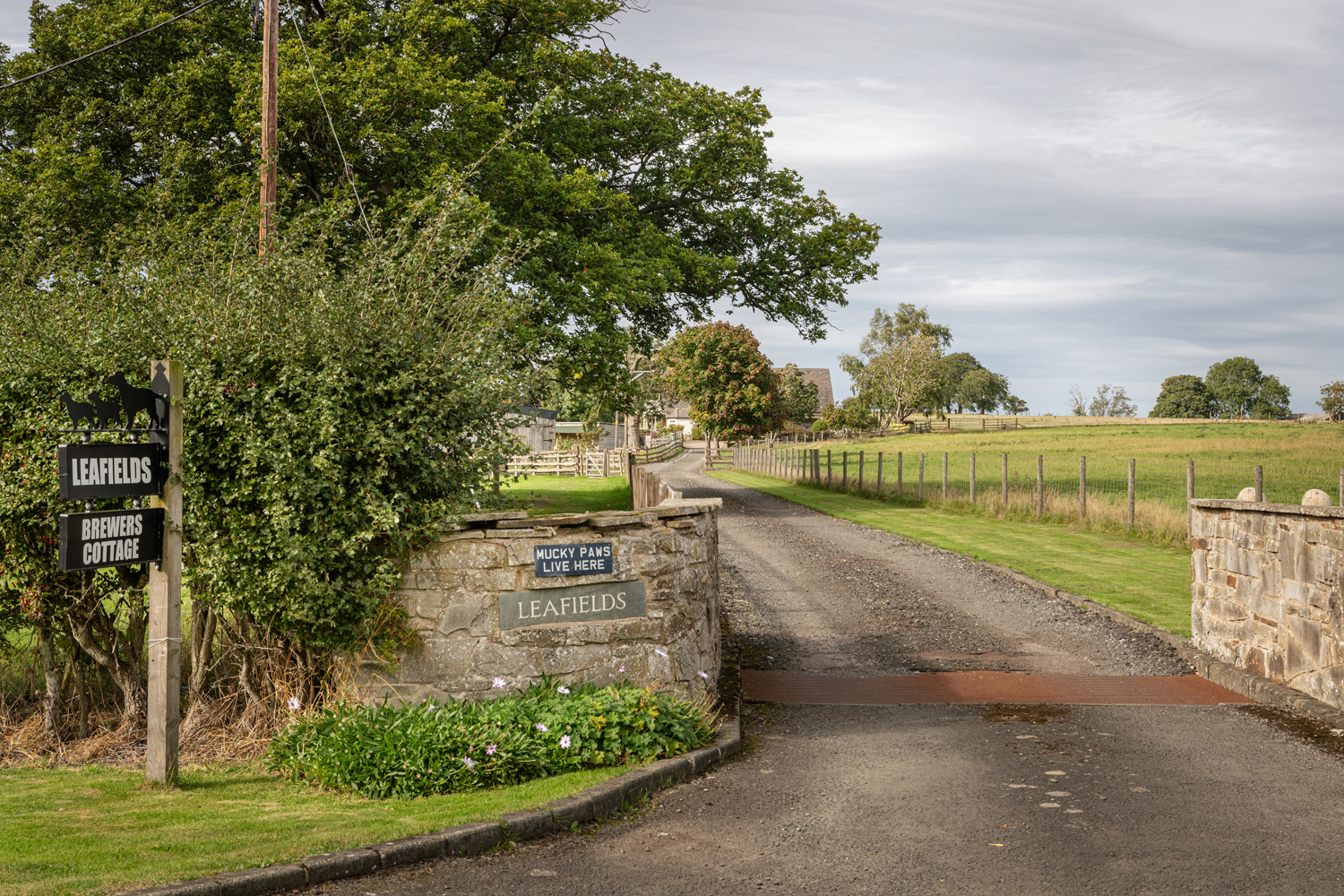 Leafields, Ordley, Hexham, Northumberland, photo 24